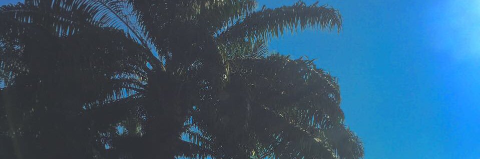 Romiconstante's profile banner image