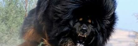 fablesworld's profile banner image
