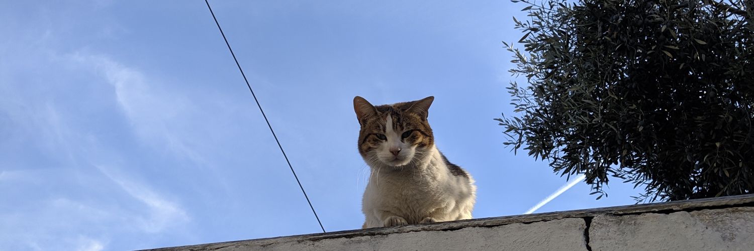 trollopaido's profile banner image