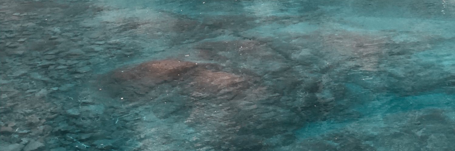 rvg_____'s profile banner image