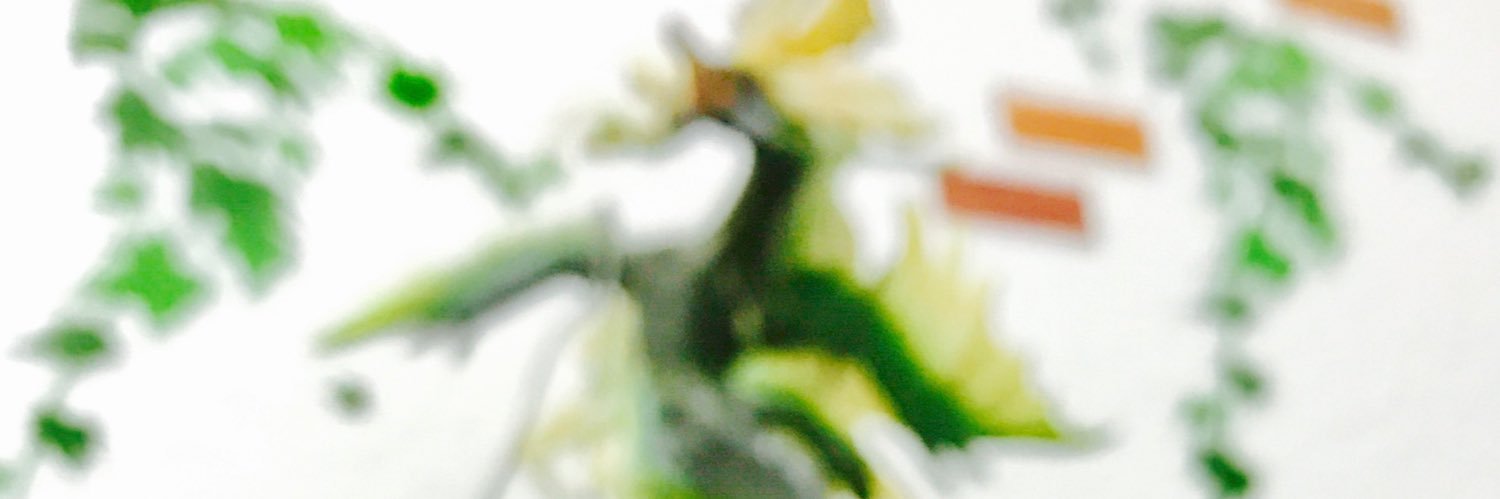 zinogre16's profile banner image