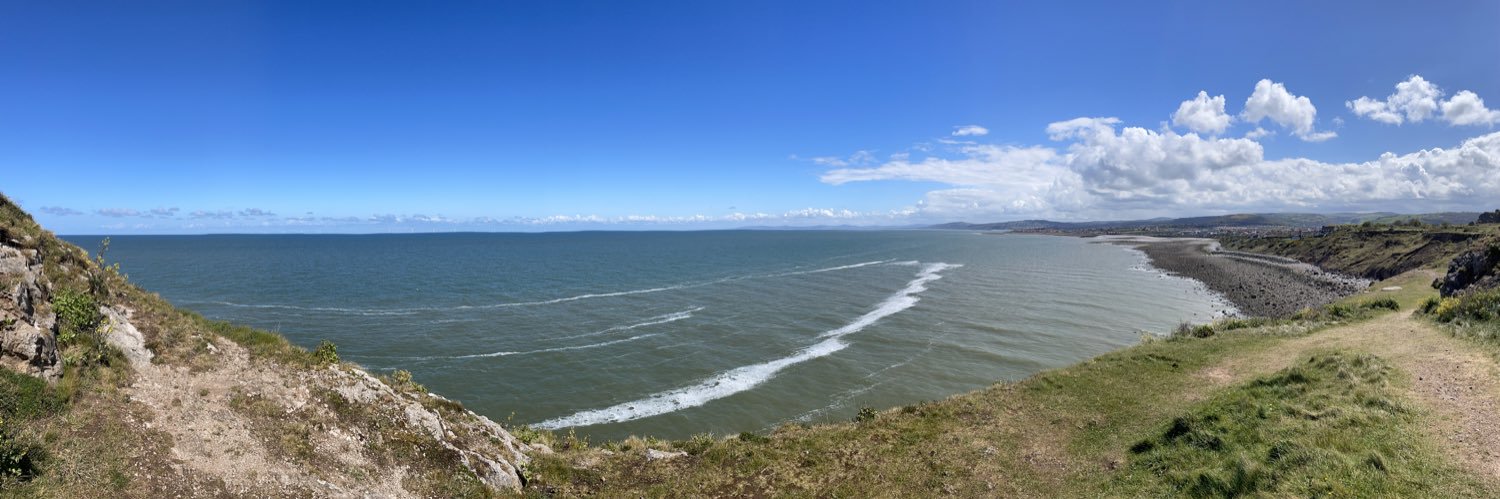 Dan Shakespeare banner