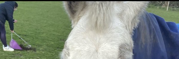 loneychida Profile Banner