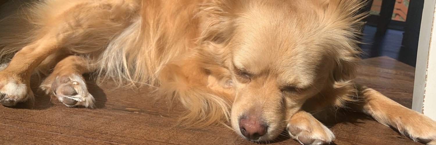 BaileyBennett97's profile banner image