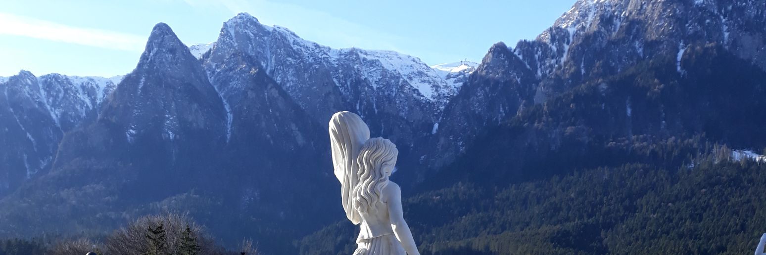 webcat ⚪🔬 banner