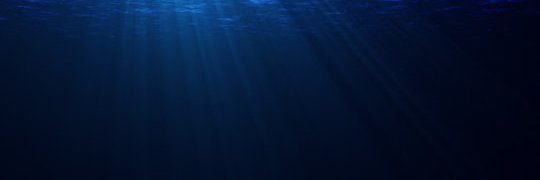 Lisa Farrell banner