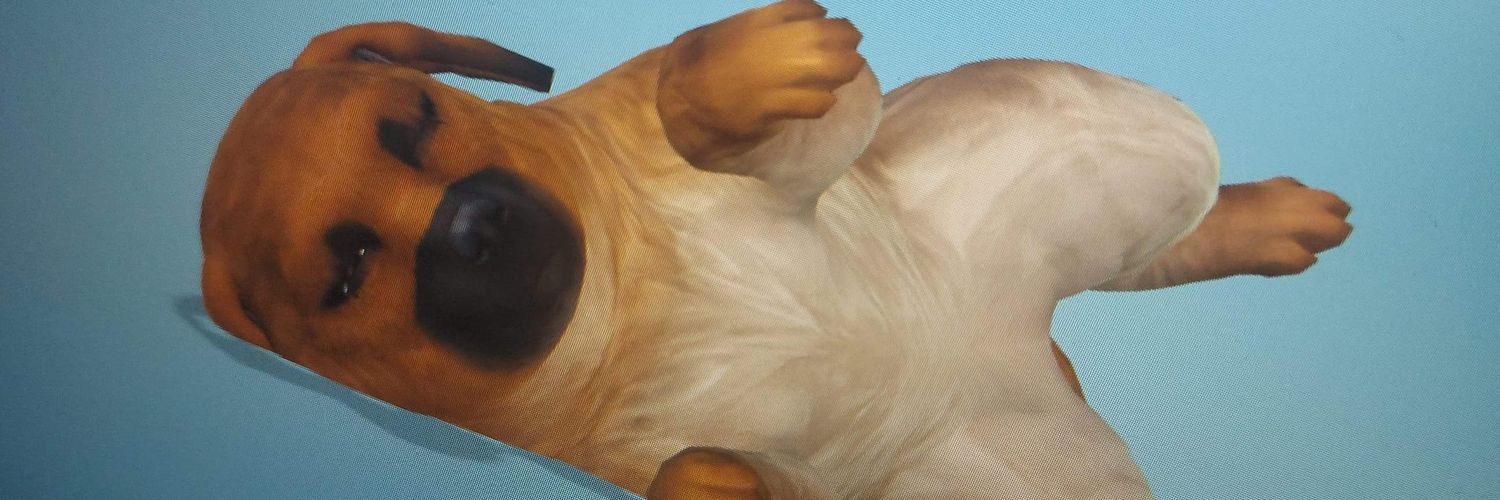 meekee___'s profile banner image