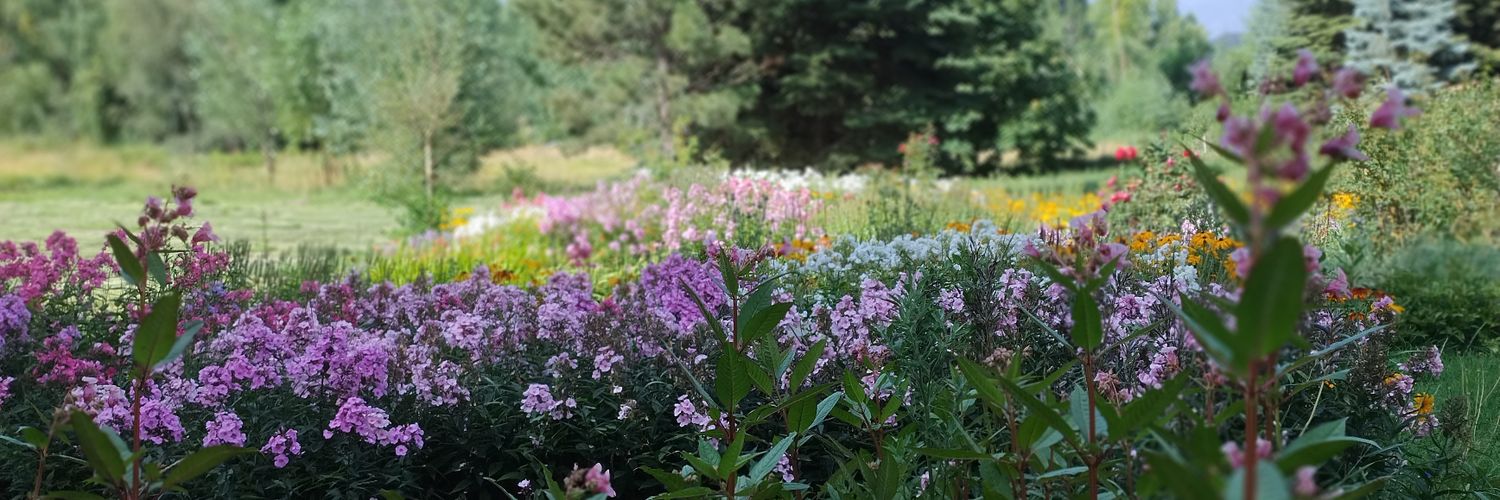 Coco wears Boots banner