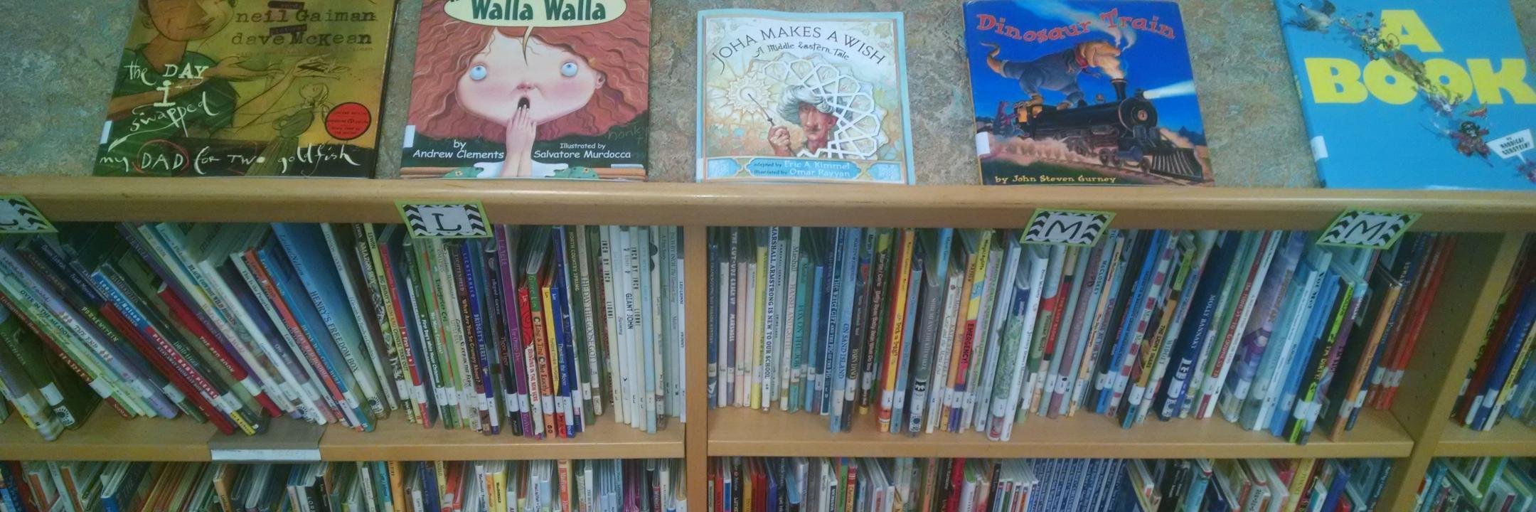 Lindsay O'Donnell banner