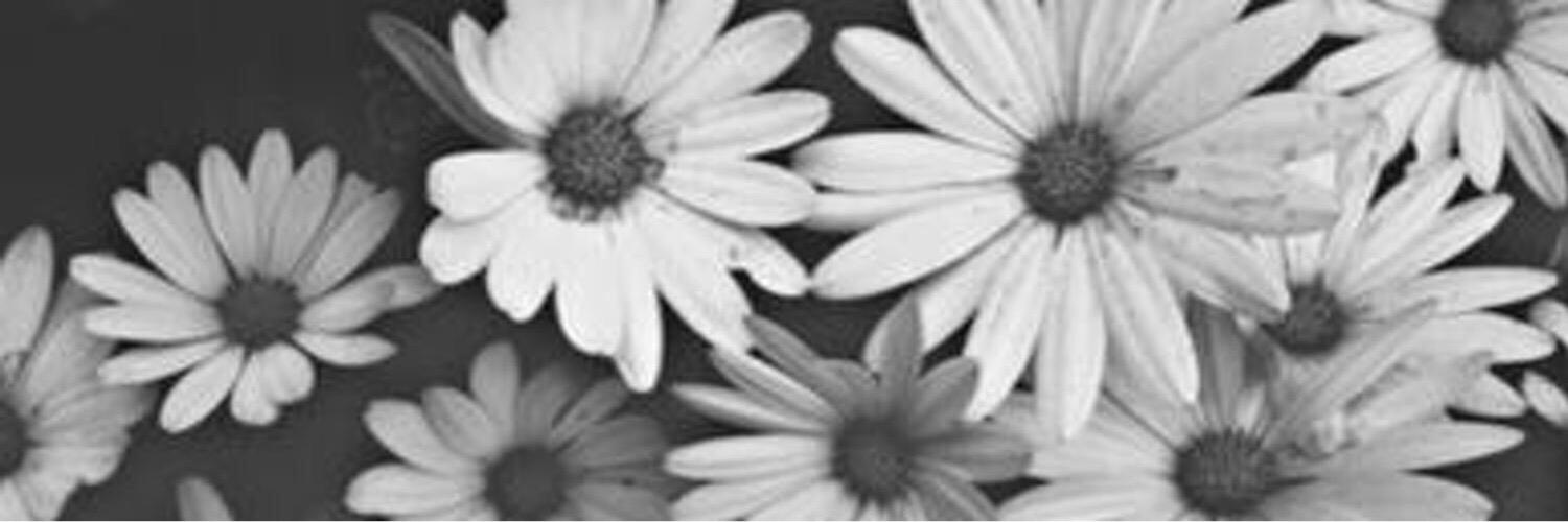 nat_mortimer's profile banner image