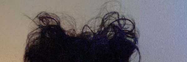 hideki_tempa Profile Banner