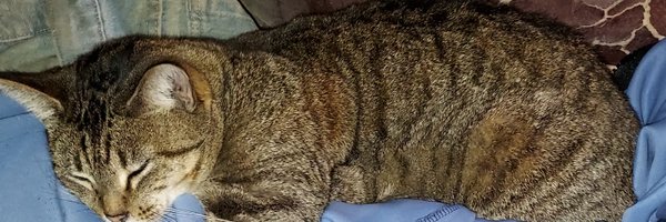 09umt09 Profile Banner