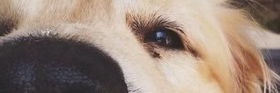 allieb5497's profile banner image