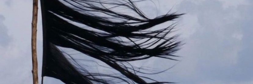 Eylem_ari's profile banner image
