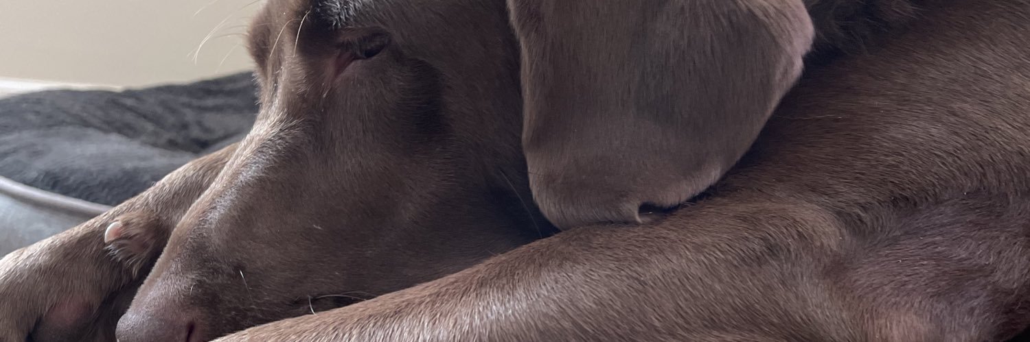 josh_clanton_10's profile banner image