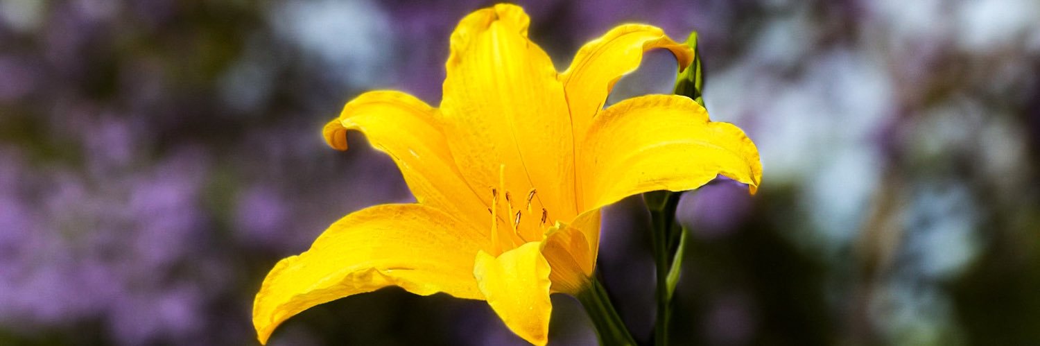 AmandaBeHappy's profile banner image
