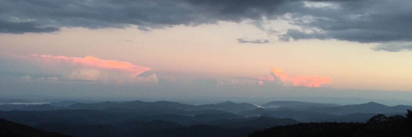 💘Casey Young💘 banner