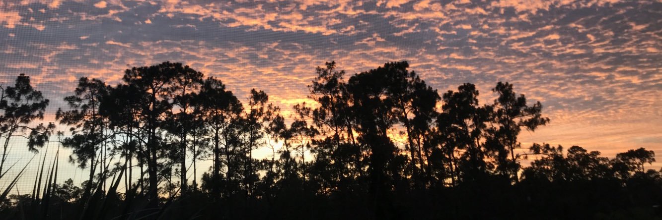 LoTroxell's profile banner image