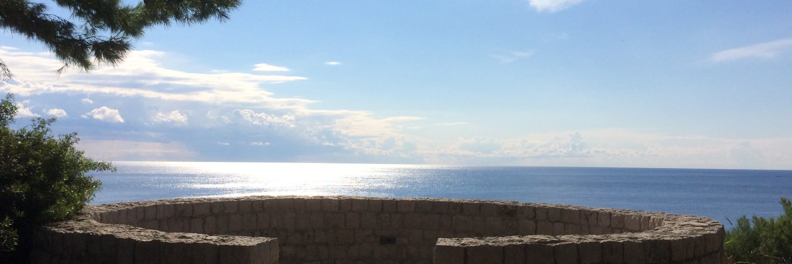 Sorina M Cornateanu banner