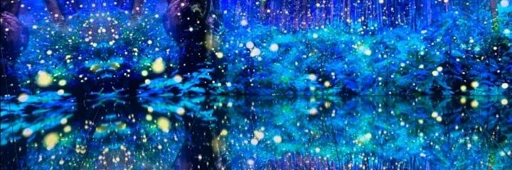 Ligohz's profile banner image