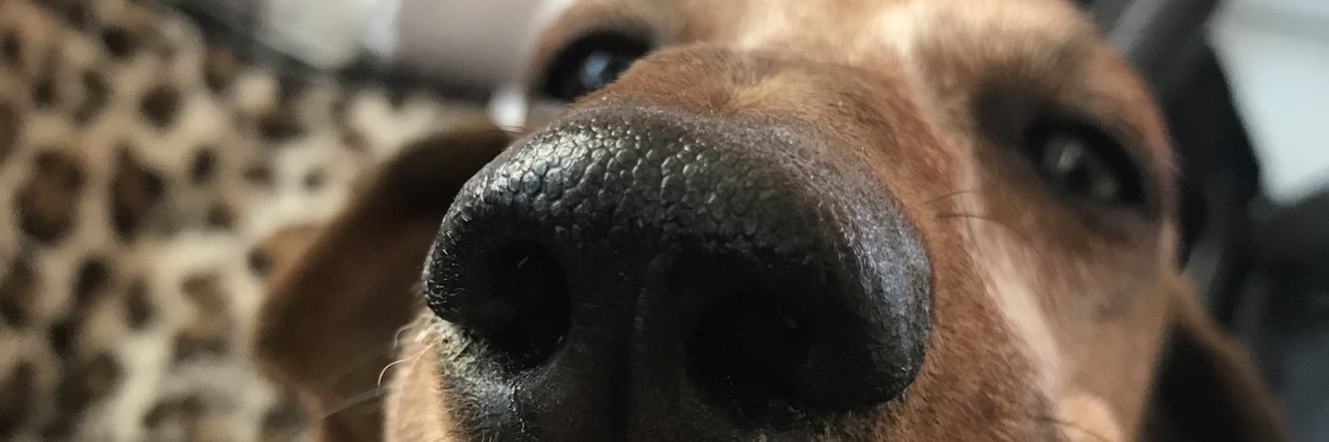 orremarre91's profile banner image