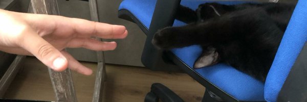 YolyCeballos Profile Banner