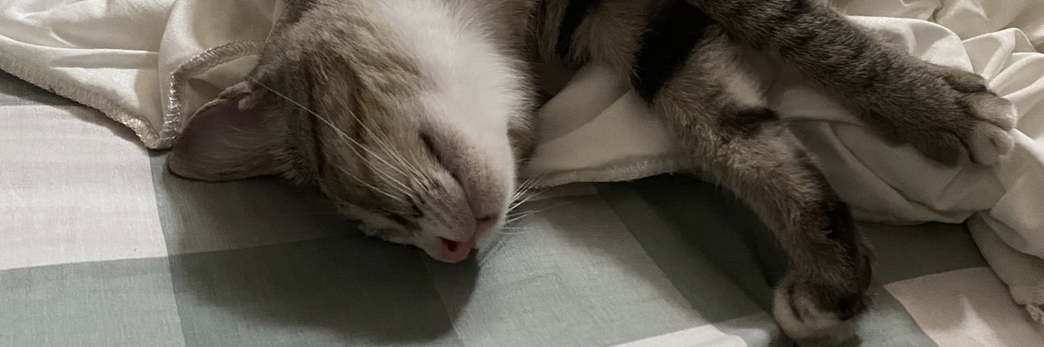 puspitanunik's profile banner image