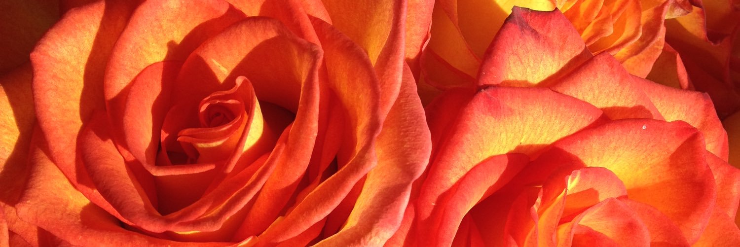 JoyGabrielle4's profile banner image