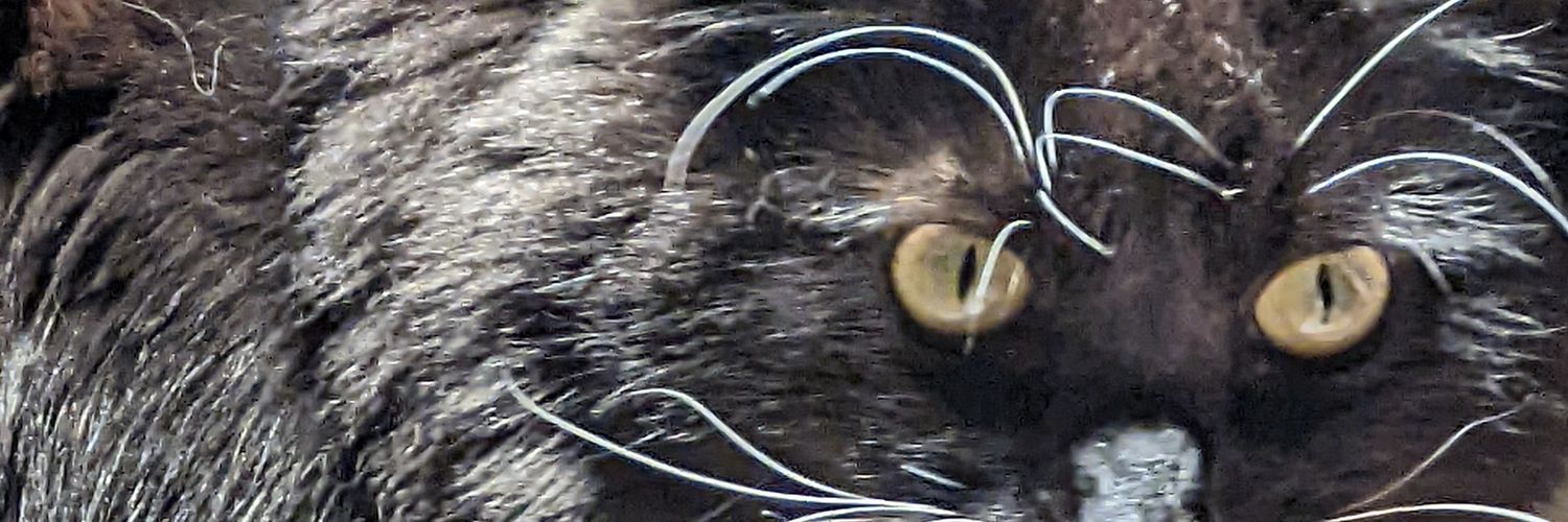 ScottCrowder3's profile banner image