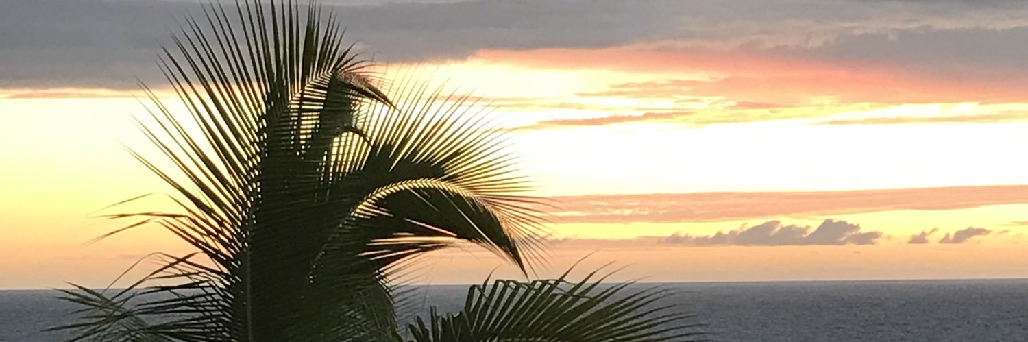 calif6native's profile banner image