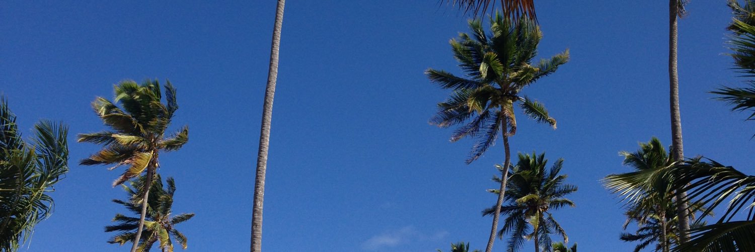 robinkind59's profile banner image