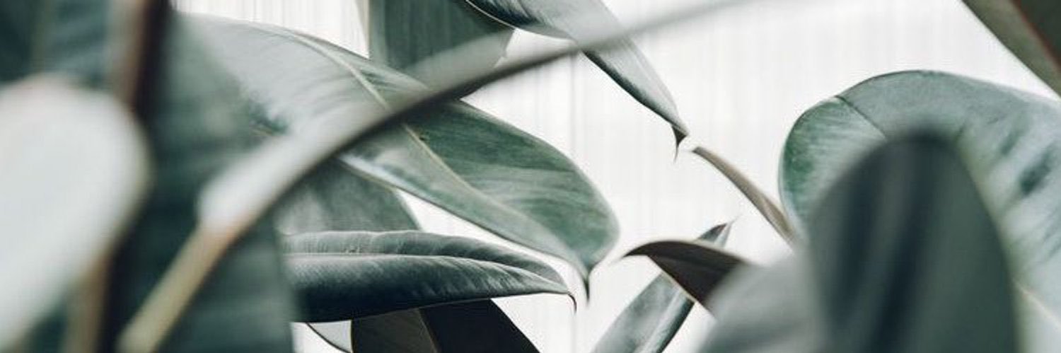 AlhazmiNejood's profile banner image