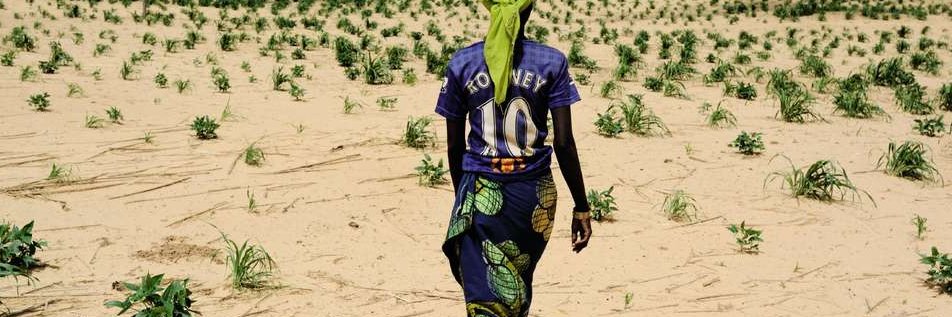 Romulus D. Kuessié banner