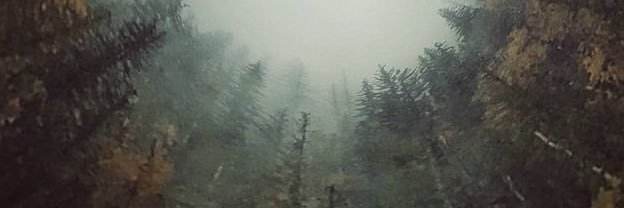 jarman_jayson's profile banner image