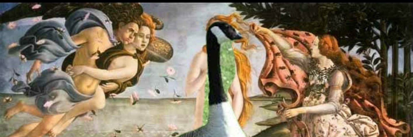 GASouthernGoose's profile banner image