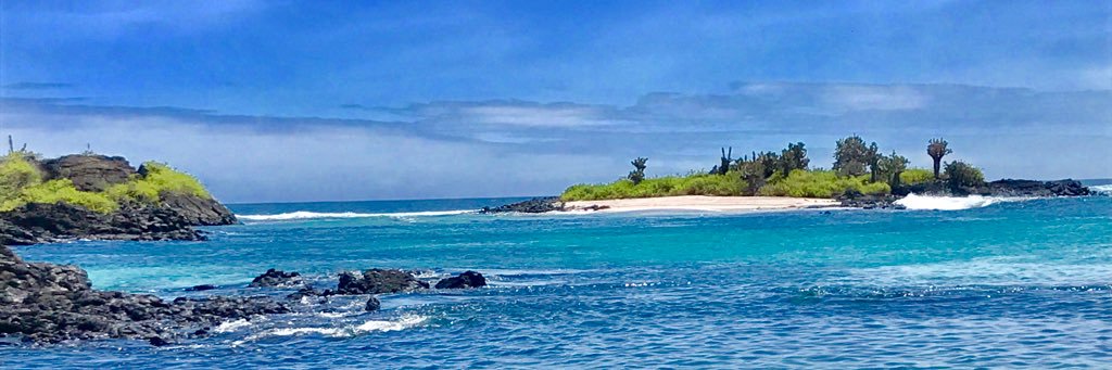 bethrasmussen_5's profile banner image