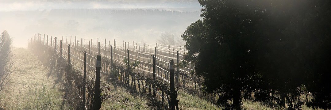 KanuWines's profile banner image