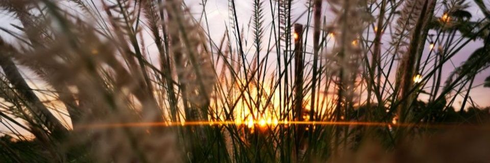 kanzeila's profile banner image
