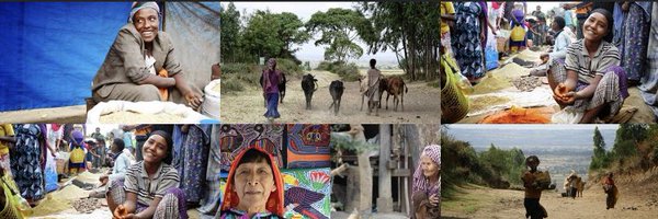 rotondivale Profile Banner