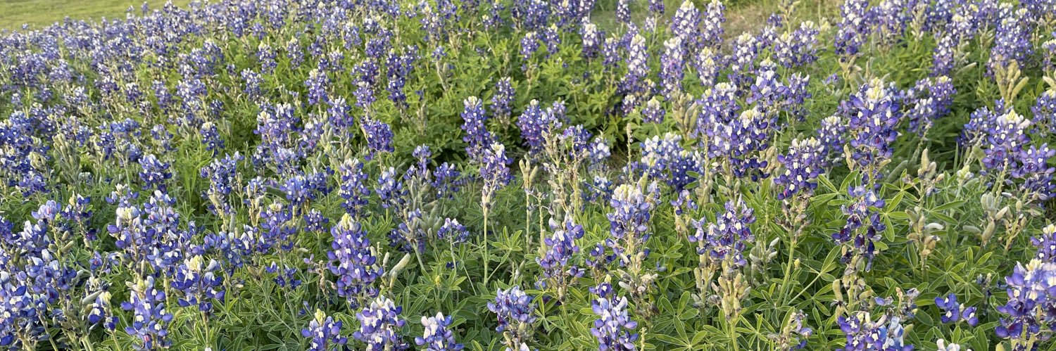 Patrick Crowley banner