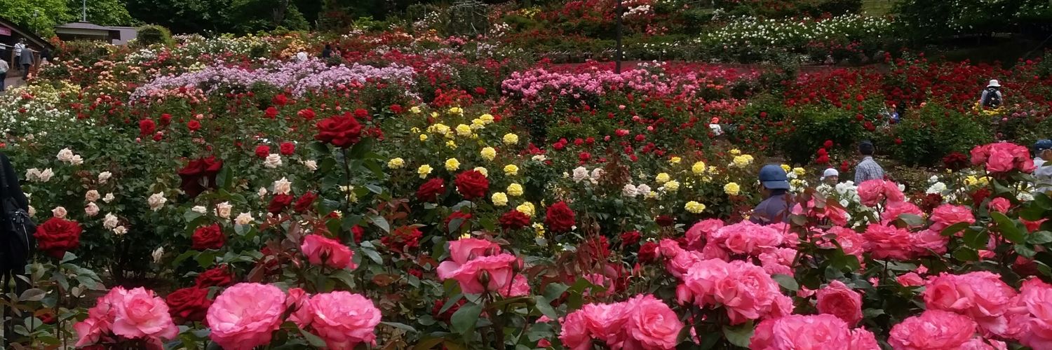 sm_4533's profile banner image