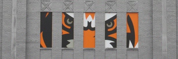 Fern Creek HS Ivy Plus Academy banner