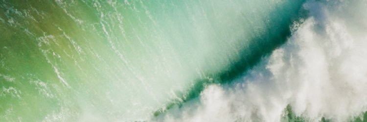 401chammo's profile banner image