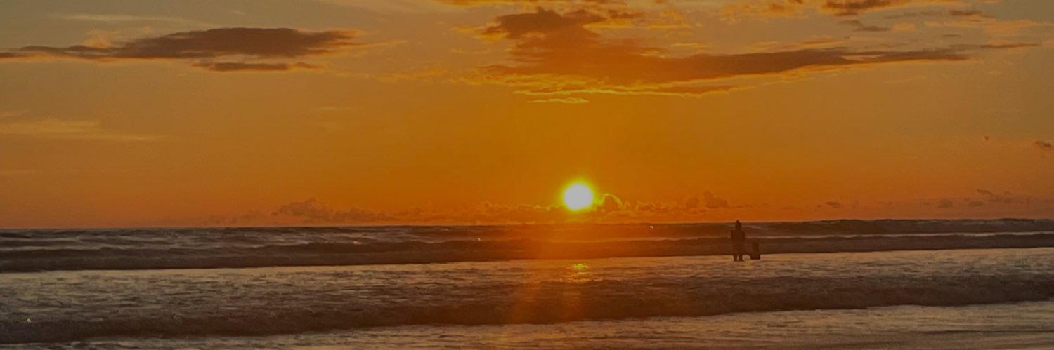 🦋 banner