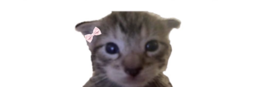tresch15's profile banner image