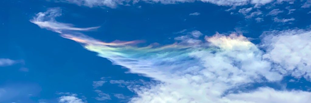 ritorila's profile banner image