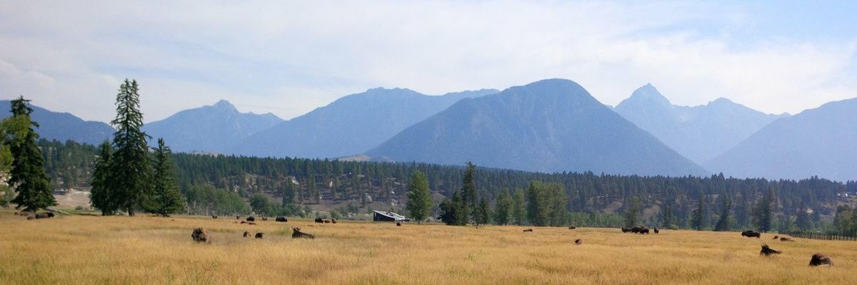 PBowron's profile banner image