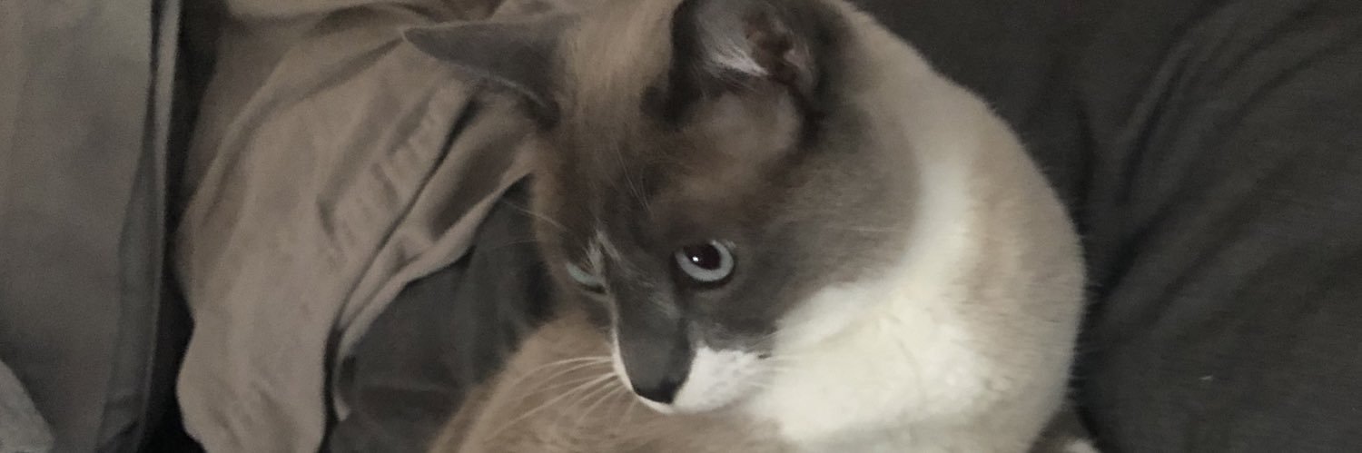 idgafCarl's profile banner image