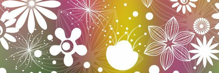 Lizabith11's profile banner image