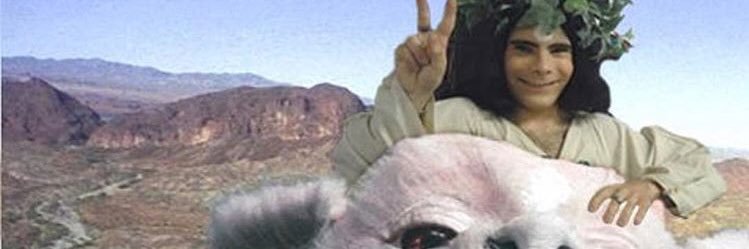 starshapedscoby's profile banner image